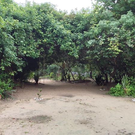 Little Baobab Bed & Breakfast Abeme Luaran gambar