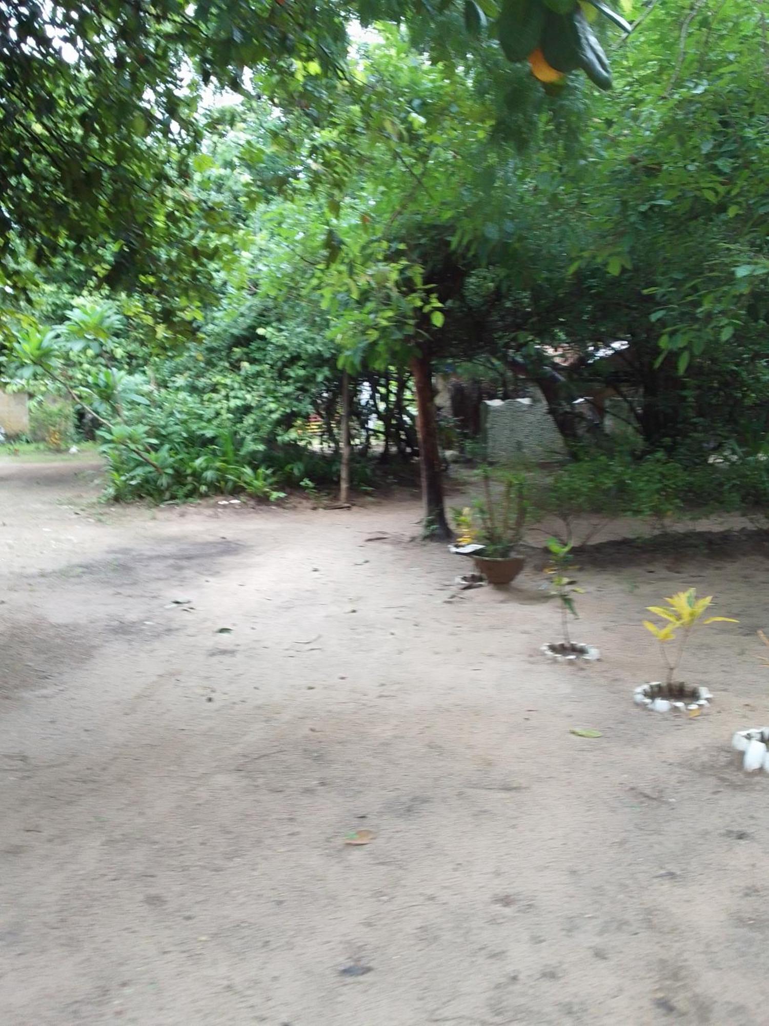 Little Baobab Bed & Breakfast Abeme Luaran gambar