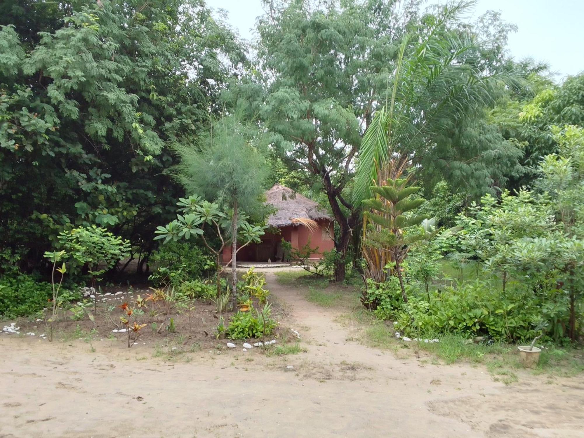 Little Baobab Bed & Breakfast Abeme Luaran gambar